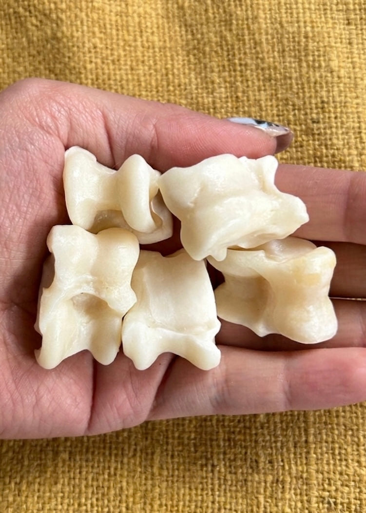 Astragale Würfel Set - historische Knochenwürfel aus der Antike (5er Set)
