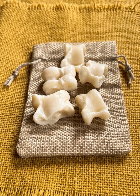 Astragale Würfel Set - historische Knochenwürfel aus der Antike (5er Set)